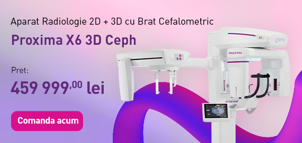 pret-2D-3D-brat-ProXIma-1