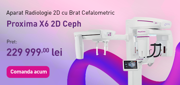 pret-2D-brat-ProXIma-1