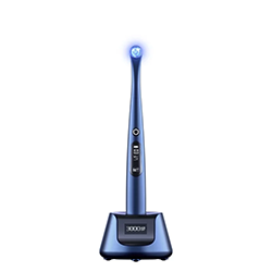 lampa-foto-x-star-woodpecker